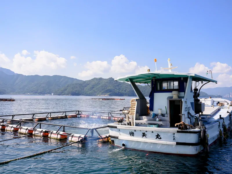 朝生水産の事業内容