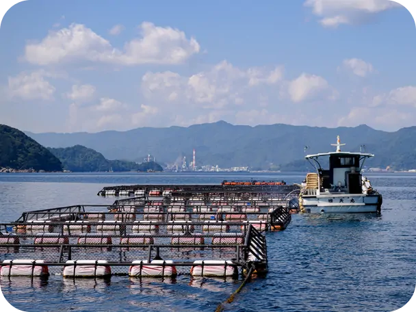 海に浮かぶ養殖いけすと漁船